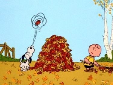 leaf pile