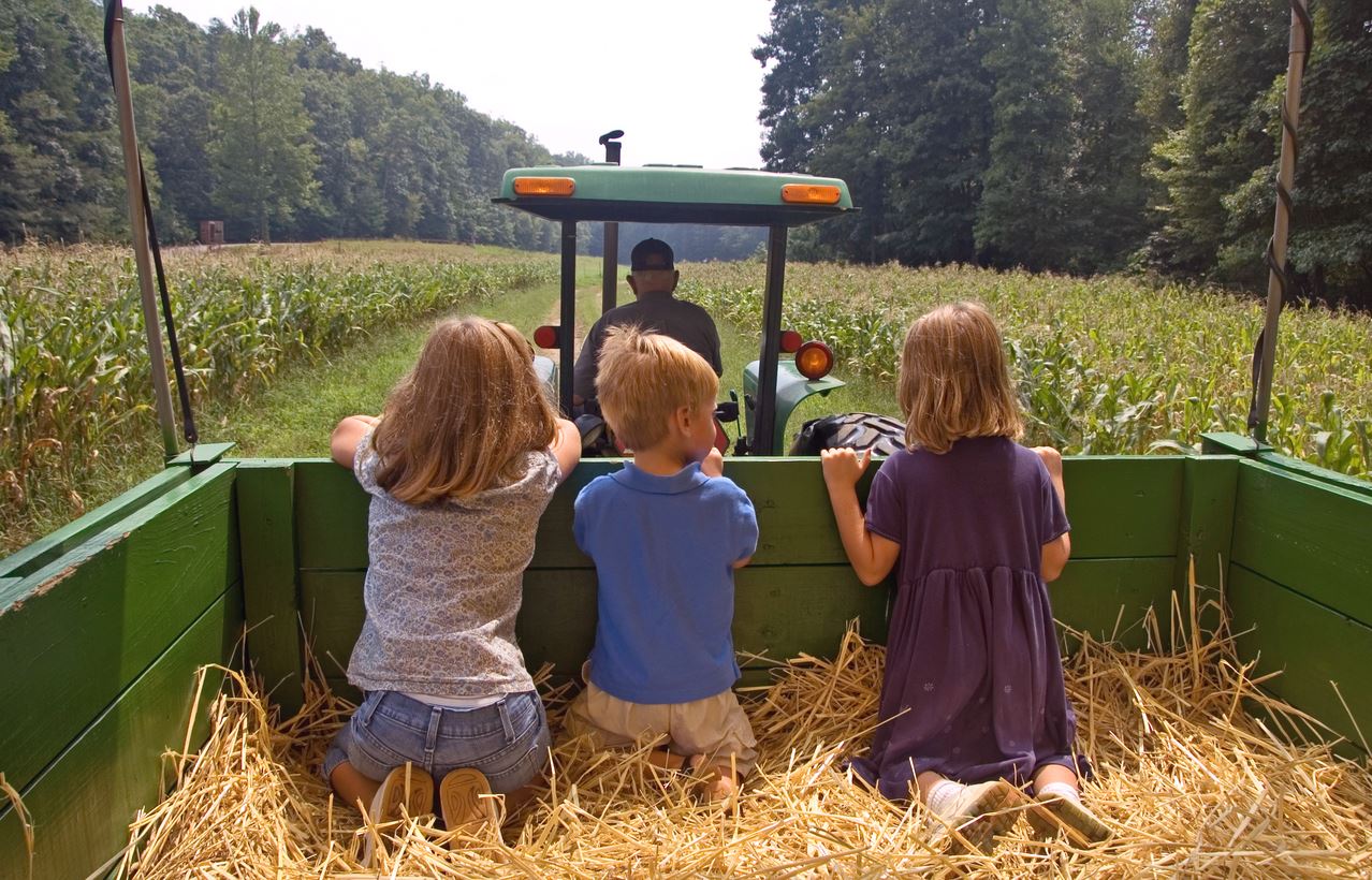 fall hayride