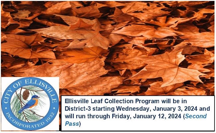 Leaf Collection District3 2nd