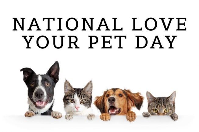 National Love Your Pet Day