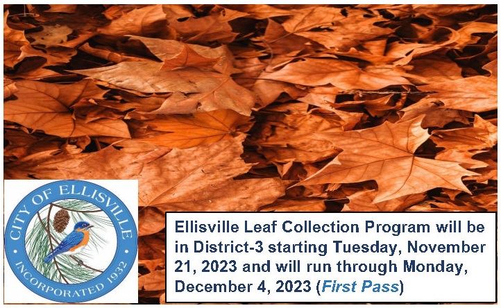 Leaf Collection District3