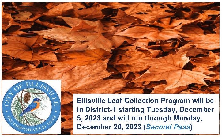 Leaf Collection District1 2nd